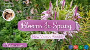 Blooms In Spring with Bee Photo de couverture de chaîne YouTube template