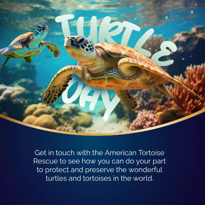 Blue 3d World Turtle Day Instagram Post Template | PosterMyWall