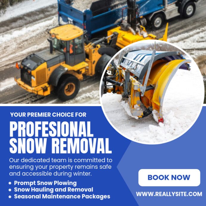 Blue And White Modern Your Premier Choice For Professional Snow Removal Facebook Post Instagram Post template