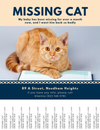 Blue and Yellow Lost Pet Car Flyer Template