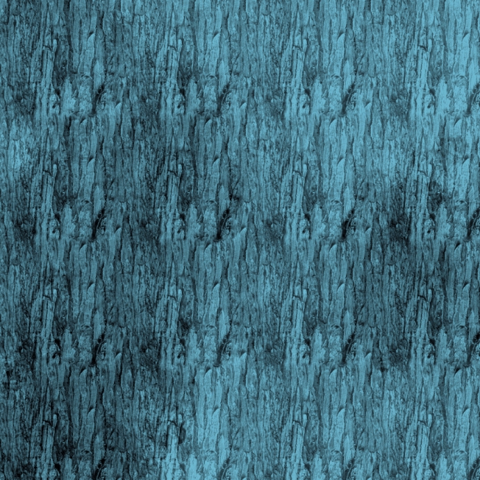 R. Blue Bark Background Instagram Post template