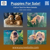 Blue Collage Puppies For Sale Instagram Post template