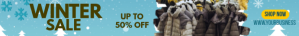 Blue Collage Winter Sale Leaderboard template