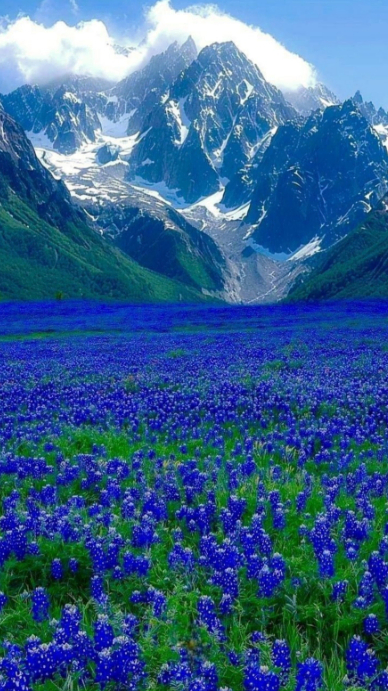 Nature Scenery Facebook Story Template | PosterMyWall