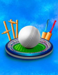 Blue Illustrative Cricket Flyer template