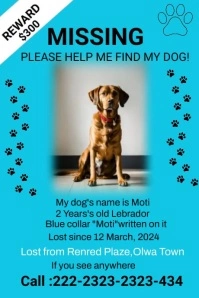 Blue Illustrative Missing Dog Poster Póster template