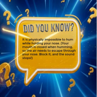 Blue Joyful 3d Glossy Speech Bubble Trivia Quiz Template Instagram Post Instagram-bericht