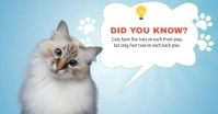 Blue Joyful Did You Know Cat Facebook Shared template
