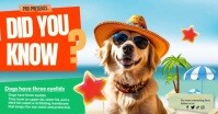 Blue Joyful Did You Know  Facebook Shared Image template