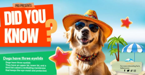 Blue Joyful Did You Know  Facebook Shared Image template
