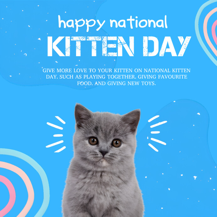 Blue Joyful National Kitten Day  Instagram Po template