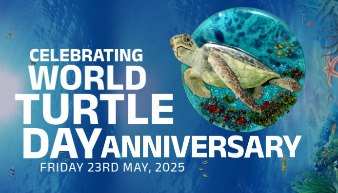 Plantilla de Blue Joyful World Turtle Day Blog Header | PosterMyWall