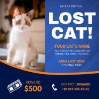 Blue Lost Cat Instagram Video Square (1:1) template