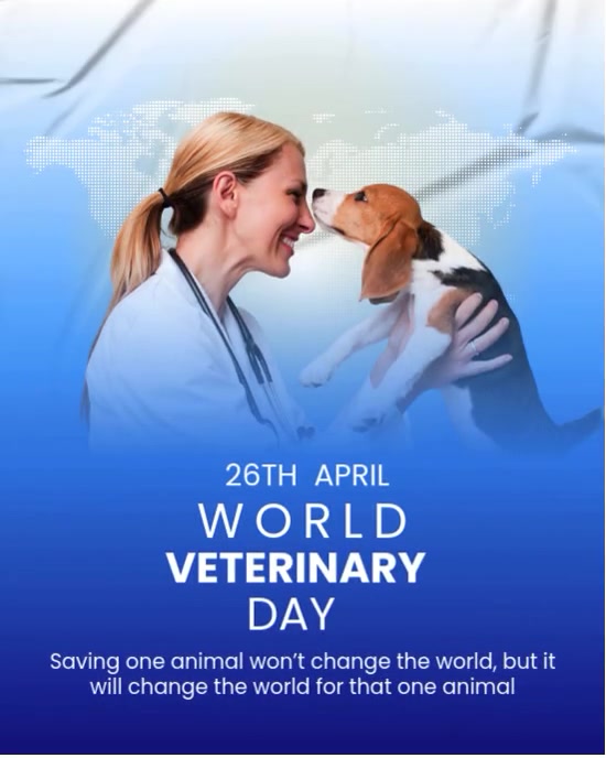 Blue Maximalist World Veterinary Day Instagram Portrait template
