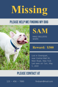 Blue Missing Dog Poster
