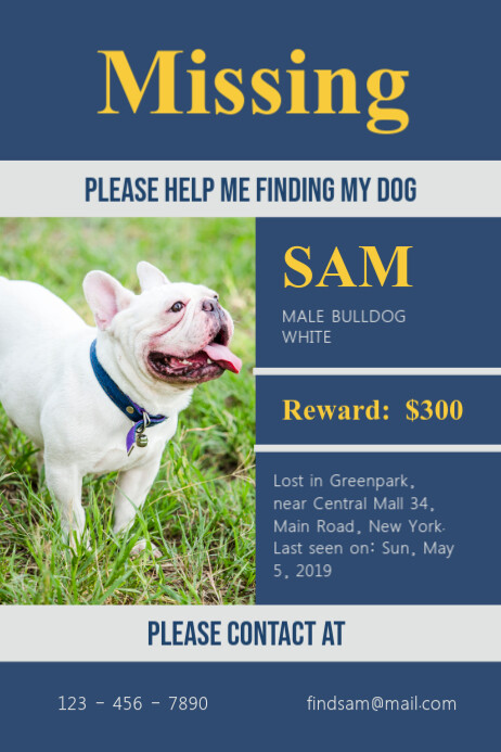 How To Make Missing Dog Posters How to make missing dog posters