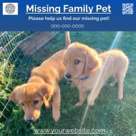 Blue Missing Family Pet Dog Cat Bird Instagram Post template
