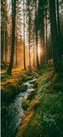Blue Modern & Minimal "golden Forest Stream At Sunrise" Snapchat Geofilter template