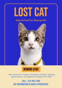 Blue Modern & Minimal Lost Cat A4 template
