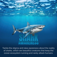 Blue Shark Awareness Message Instagram Template