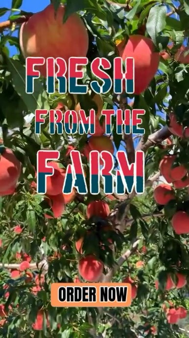 Blue Modern & Minimal Farmer's Market Promotions Instagram Reel template