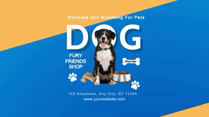 Blue Modern & Minimal Pet Care Shop Digital D Ekran reklamowy (16:9) template