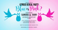 Blue Or Pink Stork Gender Reveal Invitation Facebook Shared Image template