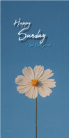 Blue Profesional Happy Sunday  Spanduk Gulir Atas 3' × 6' template