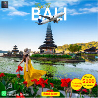 Blue Professional Bali Tour Package Poster Template Instagram Post