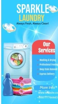 Blue Professional Laundry Service  Instagram Story template