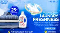 Blue Professional Laundry Services Flyer Digital Display (16:9) template