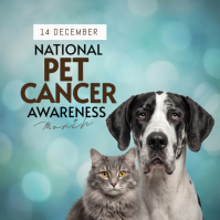Blue National Pet Cancer Awareness Month Instagram-bericht Template