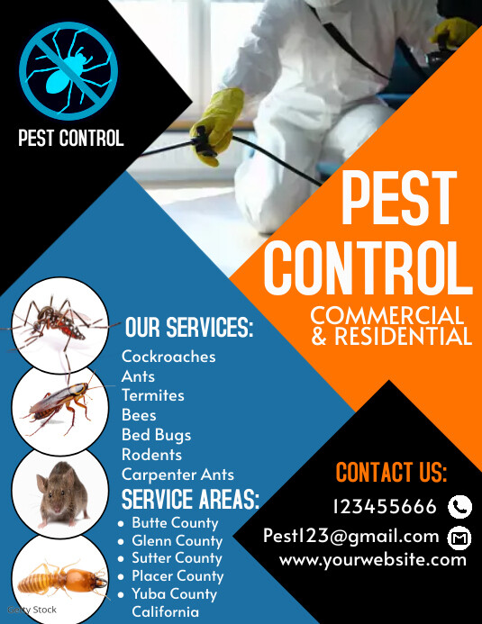 Blue Professional Pest Control Flyer (us Lett template