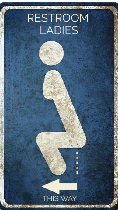 Blue Professional Toilet Signs  Instagram Story template