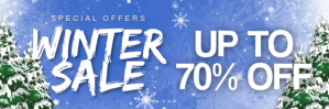 Blue Professional Winter Sale Email Header 电子邮件标题 template