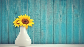Blue Wooden Wall Elegant Zoom Background Template Postermywall Blue Wooden Wall Elegant Zoom Background Template Postermywall