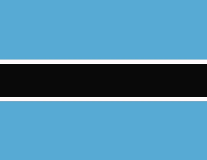 Bostwana Flag Flyer (US Letter) template