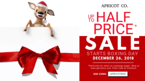Boxing Day Retail Video Banner