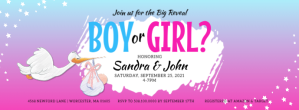Roze Gender Reveal Party Facebook Omslag Foto Template