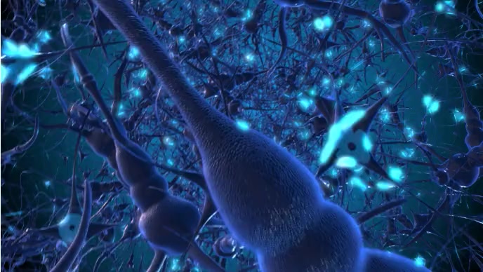Brain cells animated video Gambar Mini YouTube template