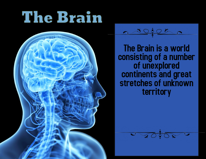 Brain Template PosterMyWall