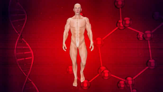 Brain power and the body YouTube-miniature template