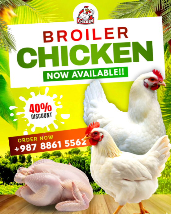 Broiler Chickens Sale Posters Template | PosterMyWall