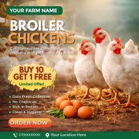 Broiler Chicken Sale Flyer | Poultry Farm Promotion | Buy 10 Get 1 Free Chicken Offer Template Squar Persegi (1:1)