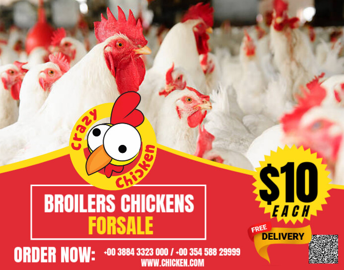 Broilers Flyer Design Modèle Broiler Chickens Flyer | PosterMyWall