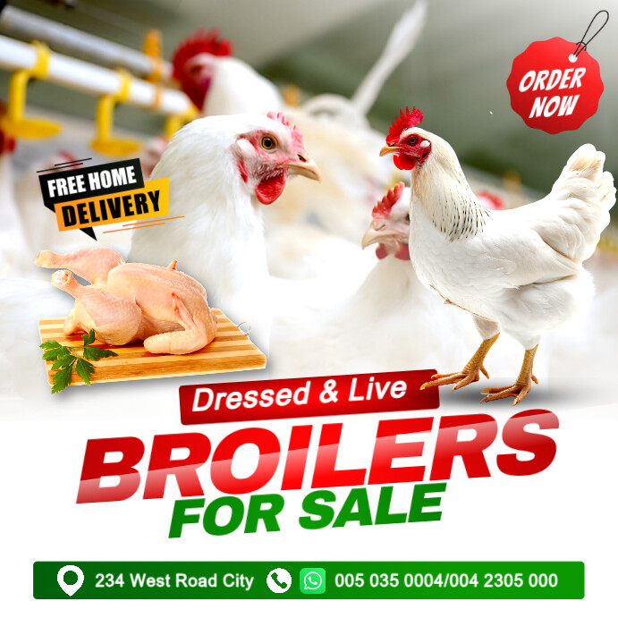 Broilers Flyer Design White Poultry Sale Instagram Ad Template | PosterMyWall