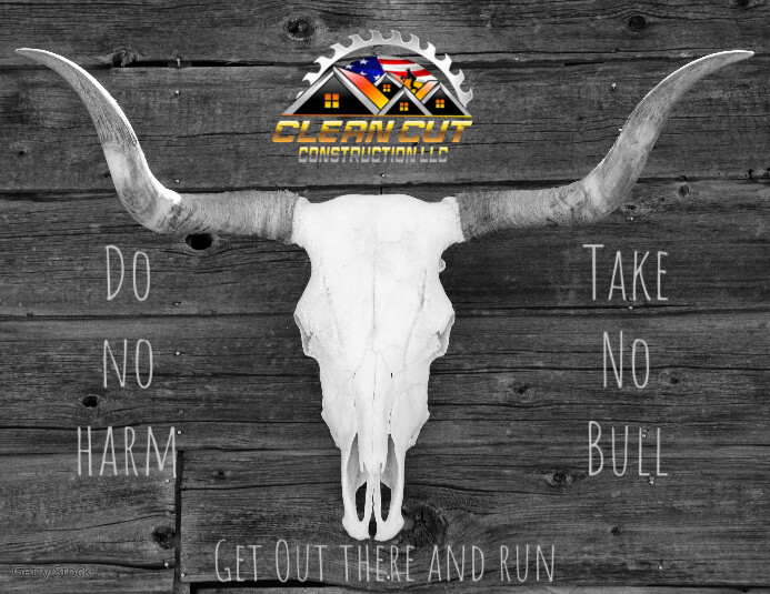 Brown Do No Harm Take No Bull Flyer (us Letter) template