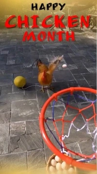 Brown Illustrative Chicken  Instagram Reel template