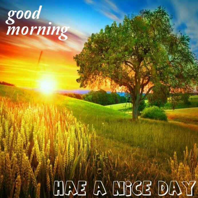 Brown Illustrative Good Morning Instagram Post Template | PosterMyWall