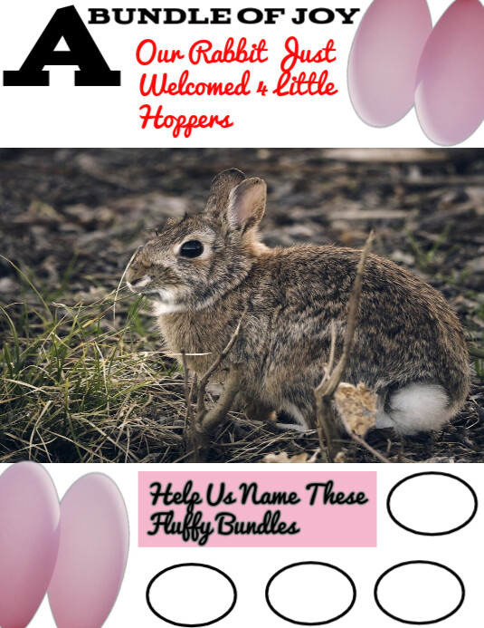 Brown Joyful White & Pink Baby Rabbit Naming Poster Flyer (us Letter ...
